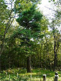 Samuel Smith Memorial Park